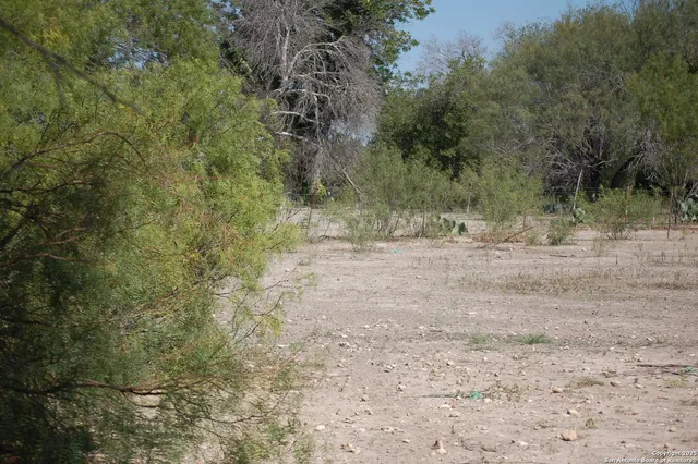 a view of dirt road with trees