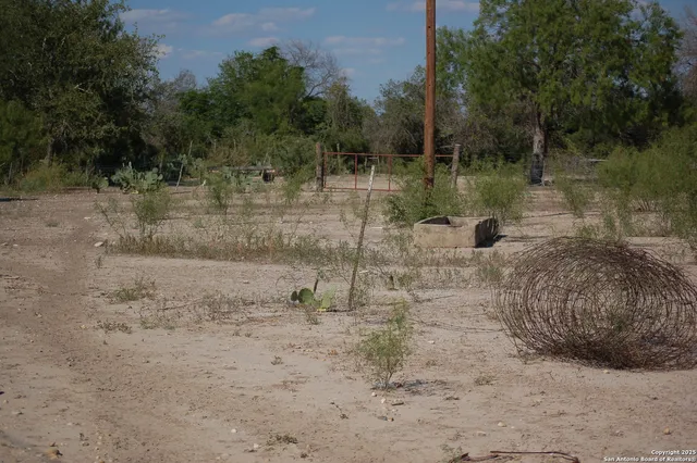 a view of a yard with plants and trees