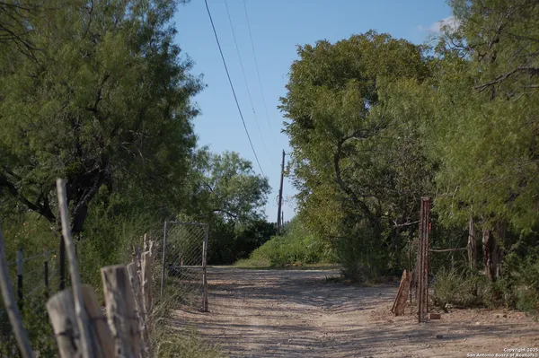 a view of a park with large trees