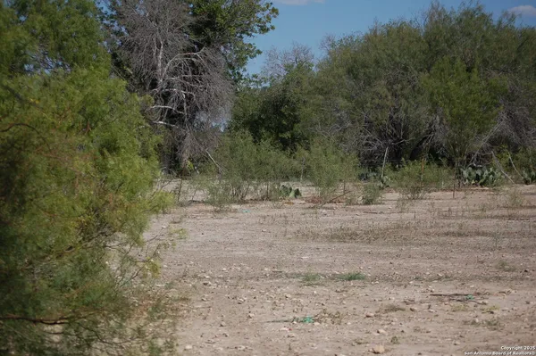 a view of a yard with a tree