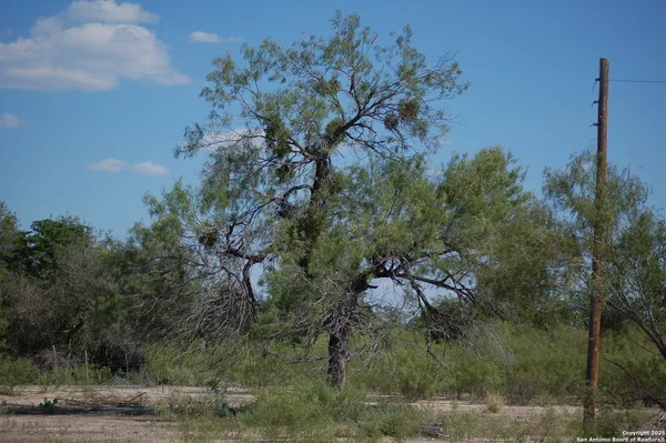 a backyard of a house with lots of trees