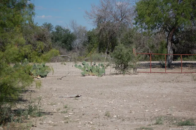 a view of outdoor space with trees
