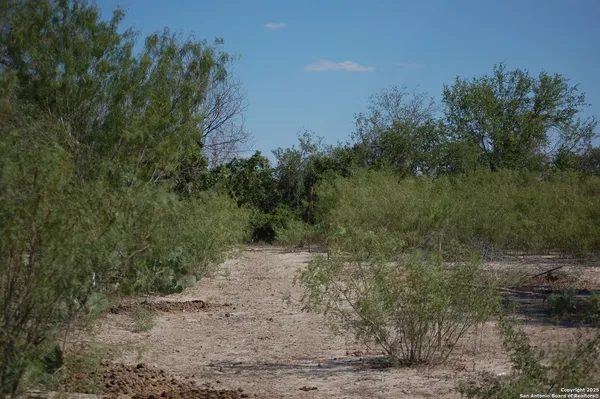 a view of a dry yard