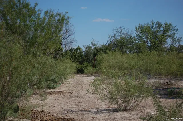 a view of a dry yard