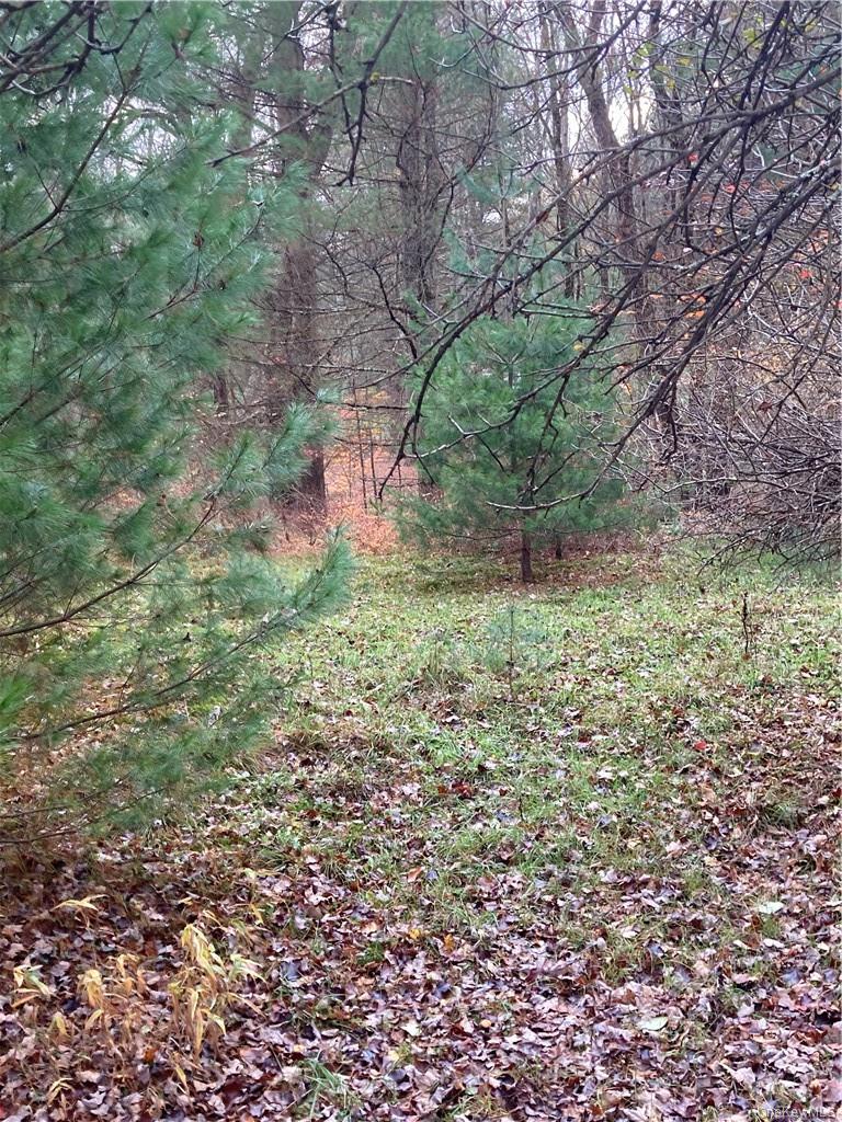 140 Plank Road Mongaup Valley, NY 12762 - Photo 12 of 39 a backyard of a house with lots of green space