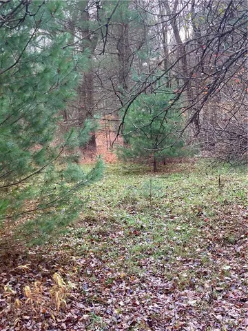 a view of a yard with a tree