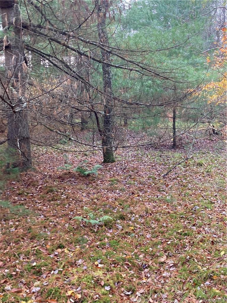 140 Plank Road Mongaup Valley, NY 12762 - Photo 15 of 39 a backyard of a house with lots of green space