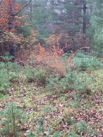 a view of outdoor space with swimming pool and green space