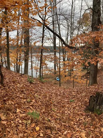 a view of outdoor space and trees