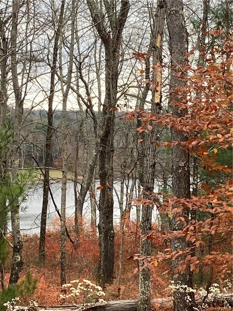 140 Plank Road Mongaup Valley, NY 12762 - Photo 23 of 39 a view of outdoor space and trees