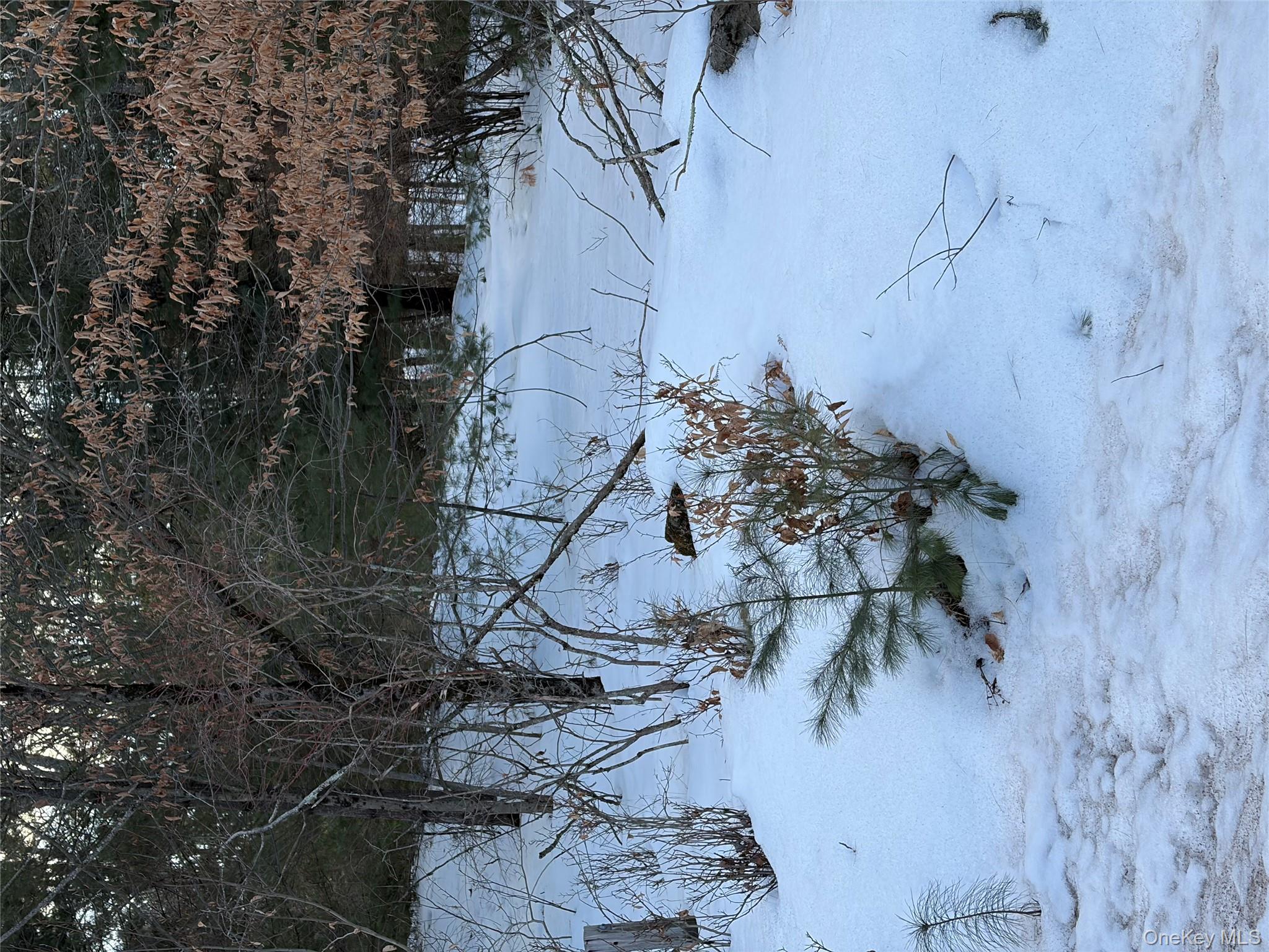 140 Plank Road Mongaup Valley, NY 12762 - Photo 27 of 39 a view of a yard with hanging chair