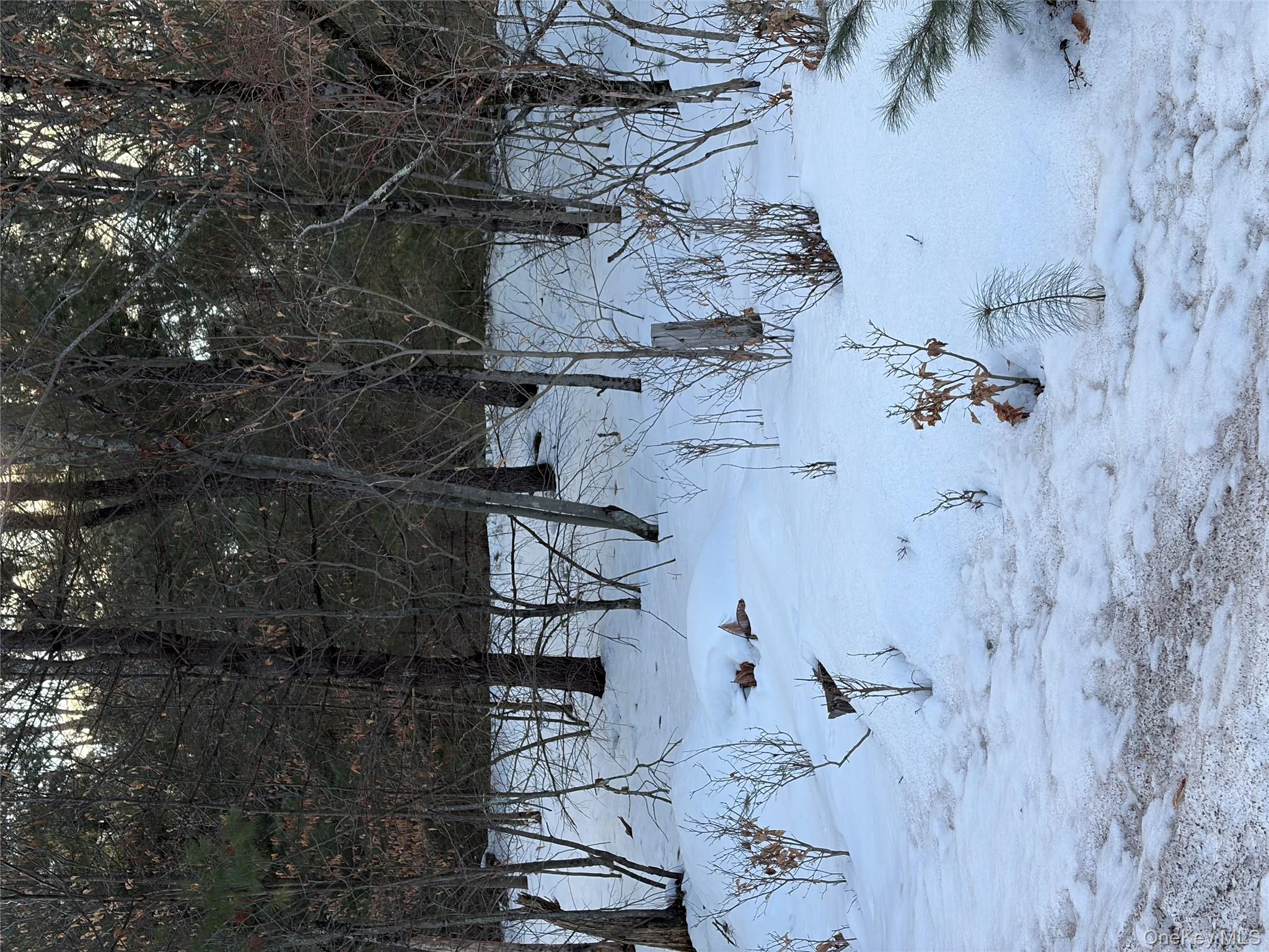 140 Plank Road Mongaup Valley, NY 12762 - Photo 28 of 39 a view of a backyard of snow