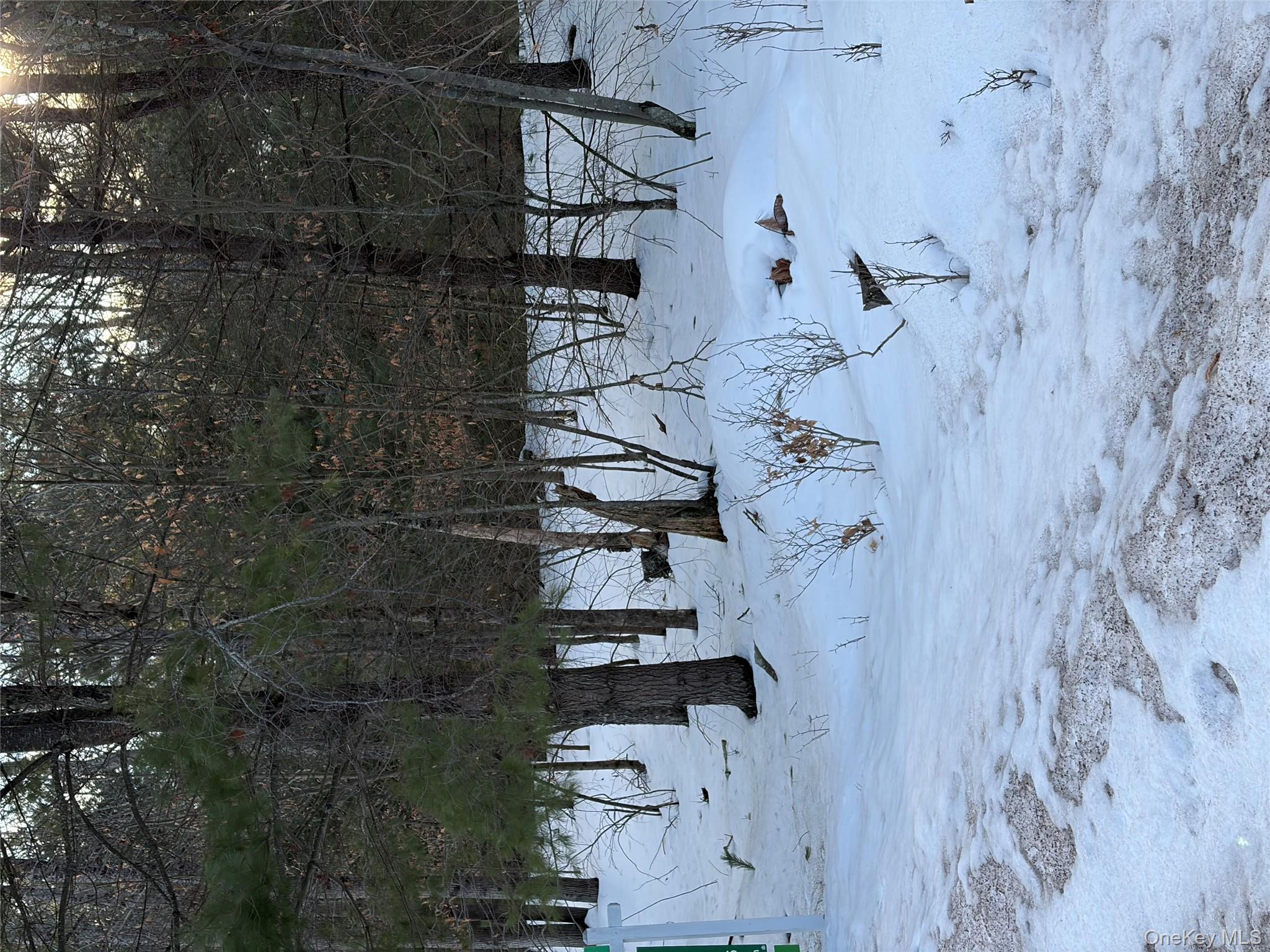 140 Plank Road Mongaup Valley, NY 12762 - Photo 29 of 39 a view of a yard with a tree