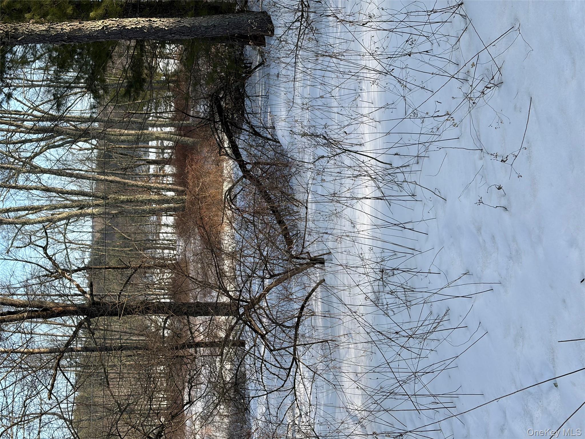 140 Plank Road Mongaup Valley, NY 12762 - Photo 30 of 39 a view of yard with trees