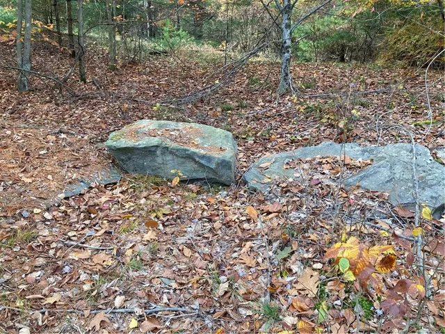 a view of a backyard of the house