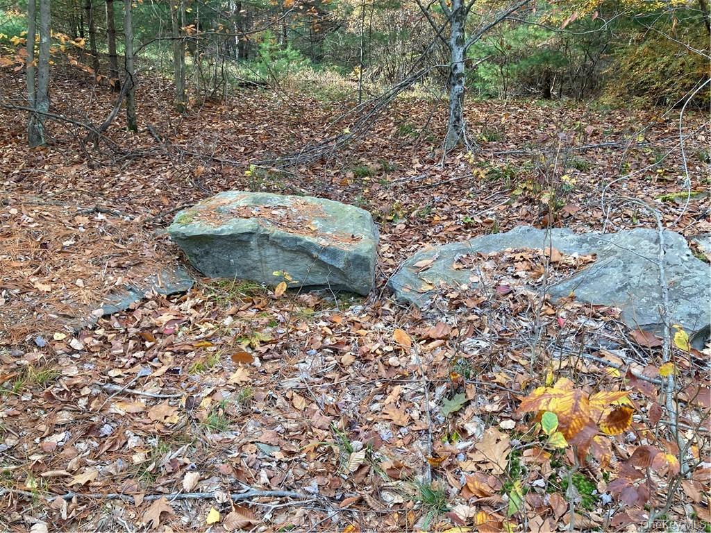 140 Plank Road Mongaup Valley, NY 12762 - Photo 3 of 39 a view of a backyard of the house