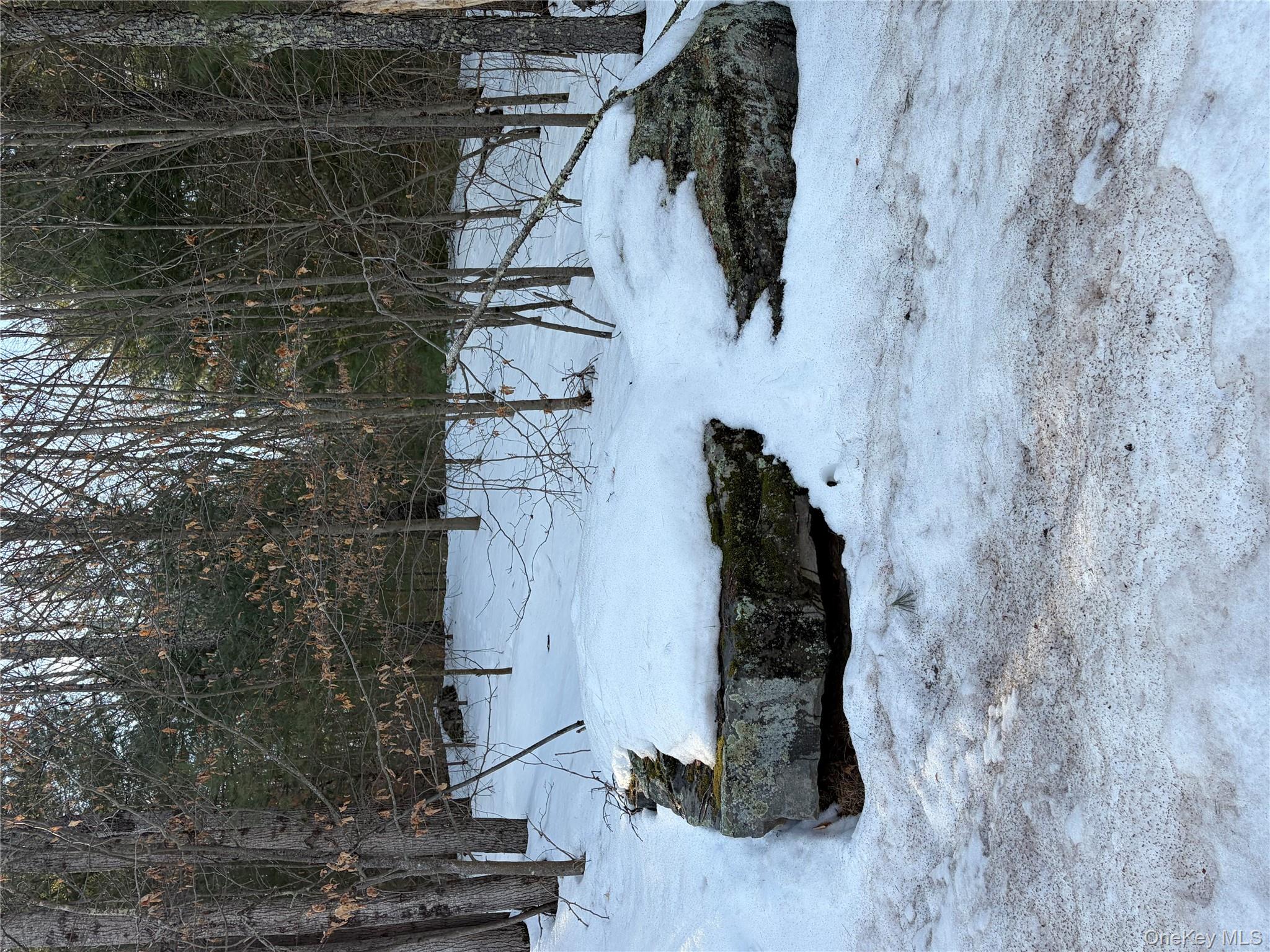 140 Plank Road Mongaup Valley, NY 12762 - Photo 32 of 39 a view of outdoor space and tree