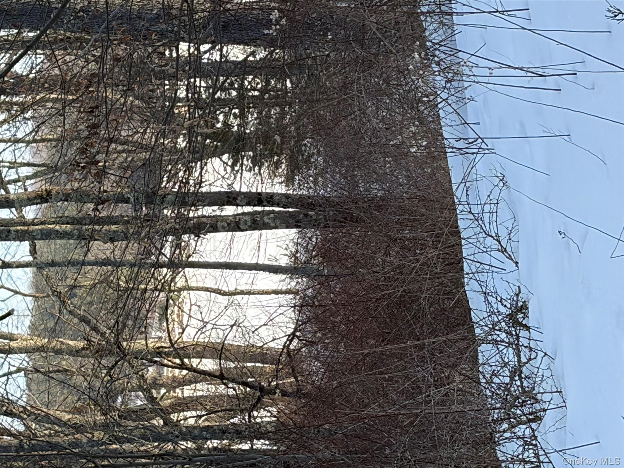 140 Plank Road Mongaup Valley, NY 12762 - Photo 33 of 39 a view of tree