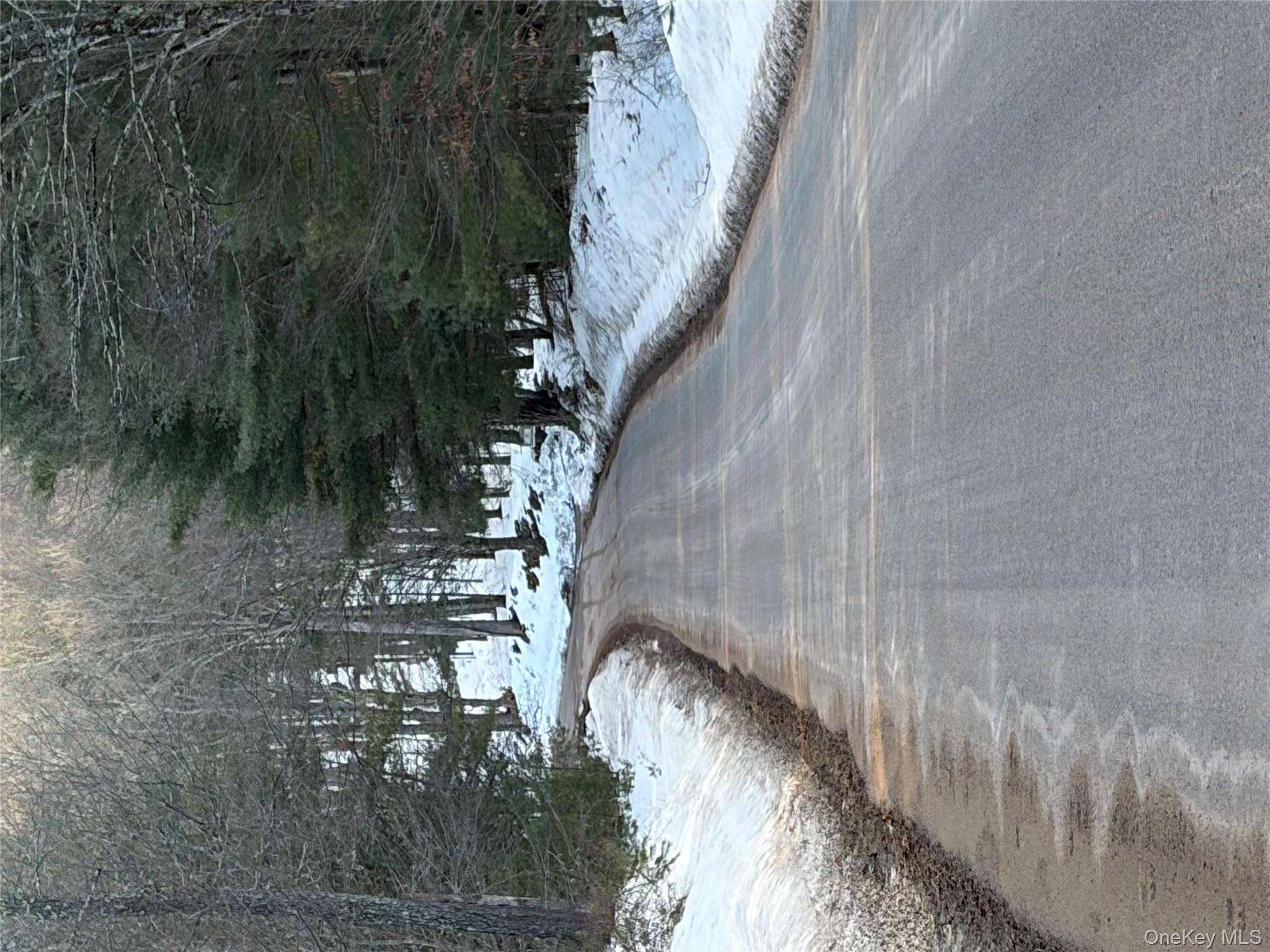 140 Plank Road Mongaup Valley, NY 12762 - Photo 34 of 39 a view of a yard with large trees