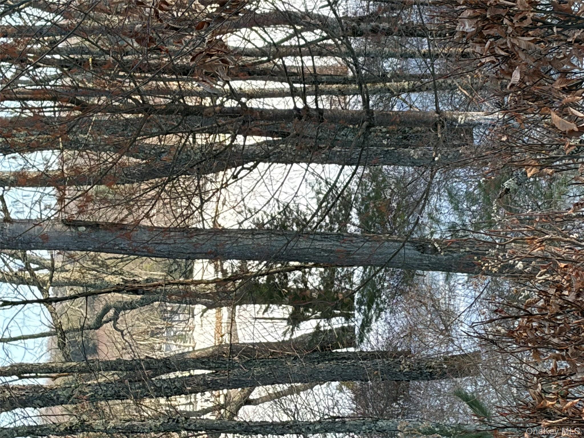 140 Plank Road Mongaup Valley, NY 12762 - Photo 35 of 39 a view of forest