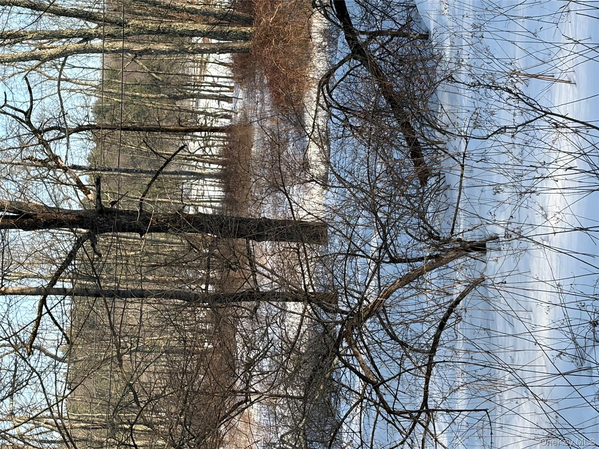 140 Plank Road Mongaup Valley, NY 12762 - Photo 36 of 39 a view of a yard with a tree