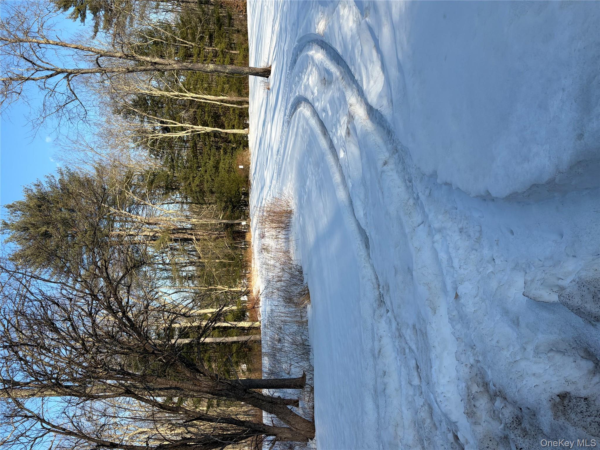 140 Plank Road Mongaup Valley, NY 12762 - Photo 37 of 39 a view of road with trees