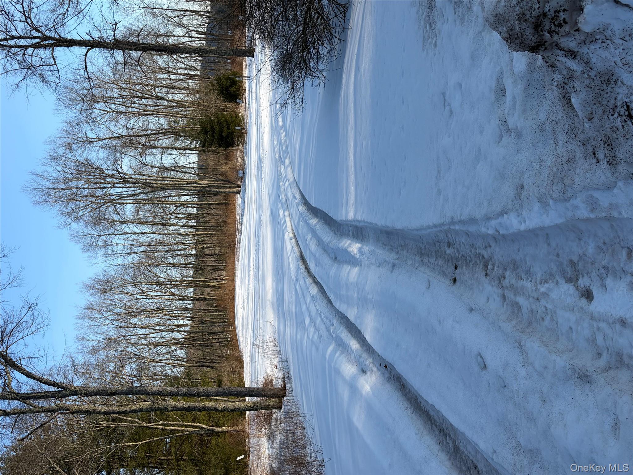 140 Plank Road Mongaup Valley, NY 12762 - Photo 38 of 39 a view of backyard space