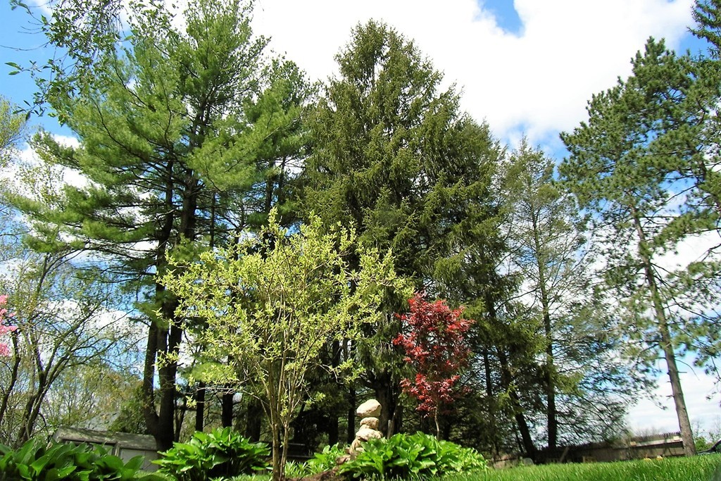 234 Providence Road Grafton, MA 01560 - Photo 8 of 30 Gallery Image 8