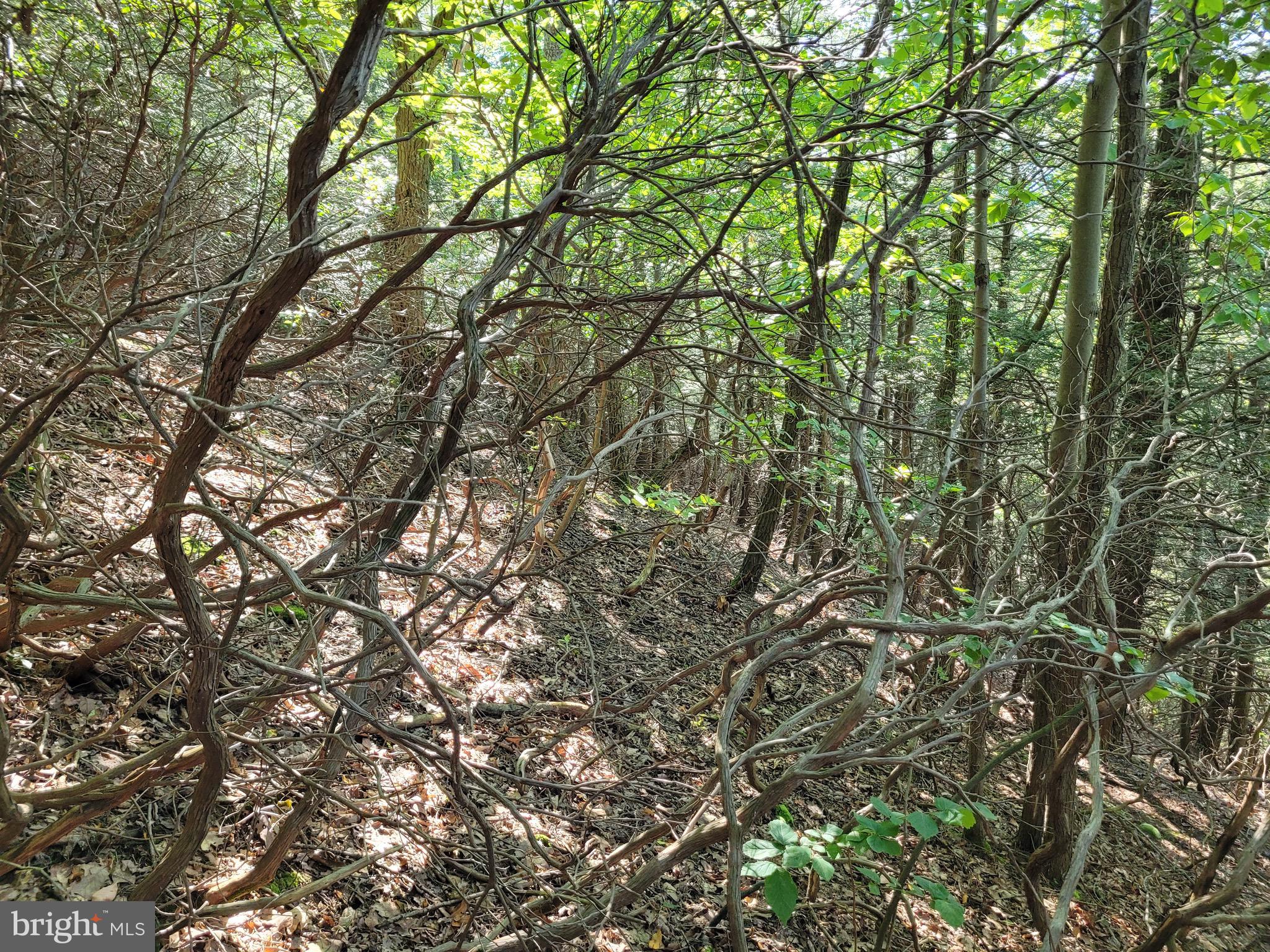 89 Ridge Run Claysburg, PA 16625 - Photo 3 of 3