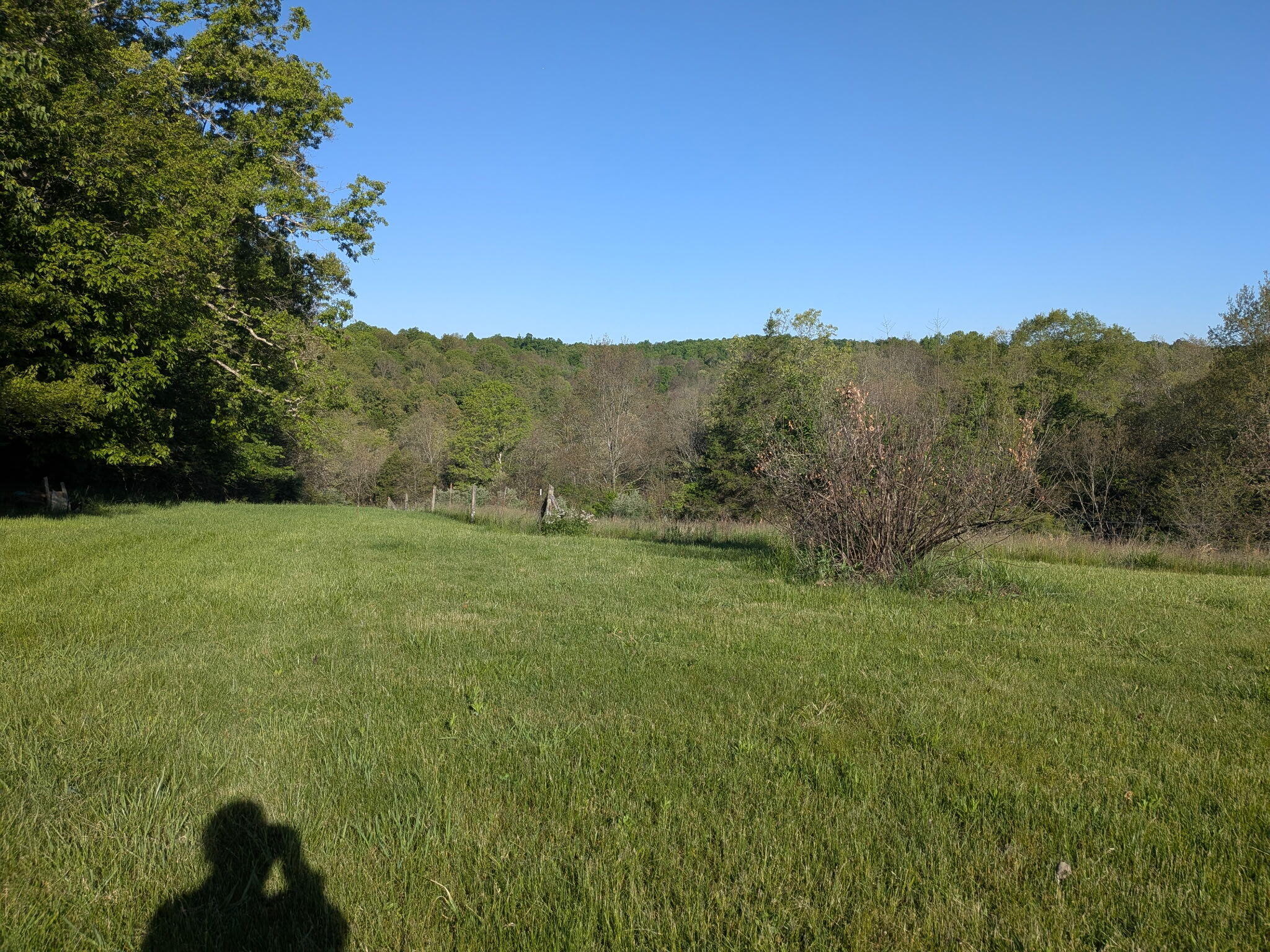 1874 Ogden Ridge Road Mount Olivet, KY 41064 - Photo 32 of 68 PXL_20260511_124403250