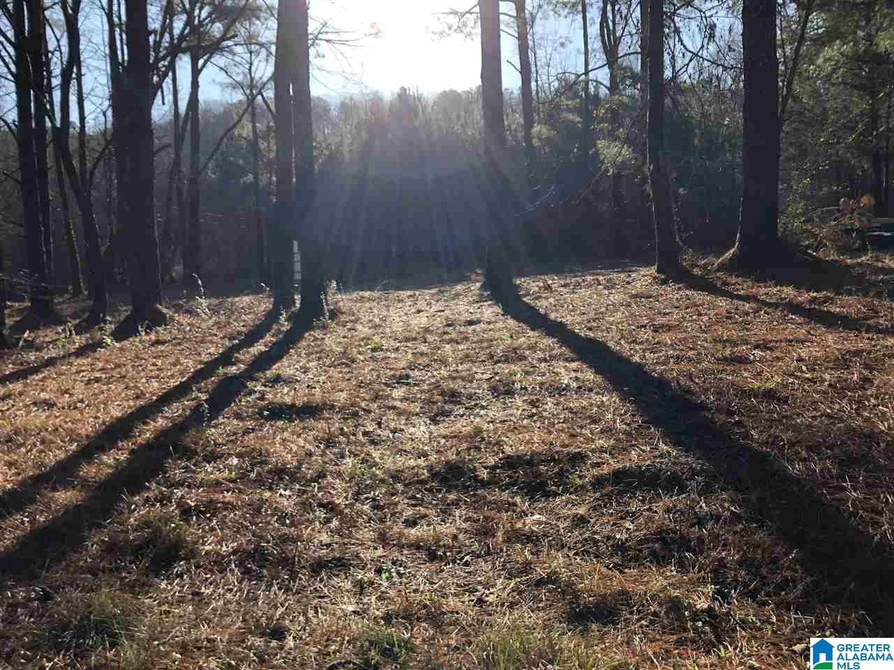 7950 Happy Hollow Road, Unit 2 Trussville, AL 35173 - Photo 10 of 12