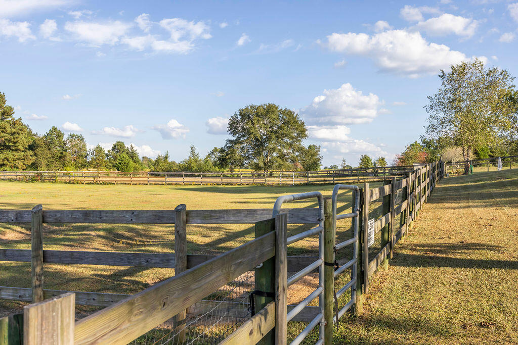 269 Holmes Pond Road Johnston, SC 29832 - Photo 68 of 80