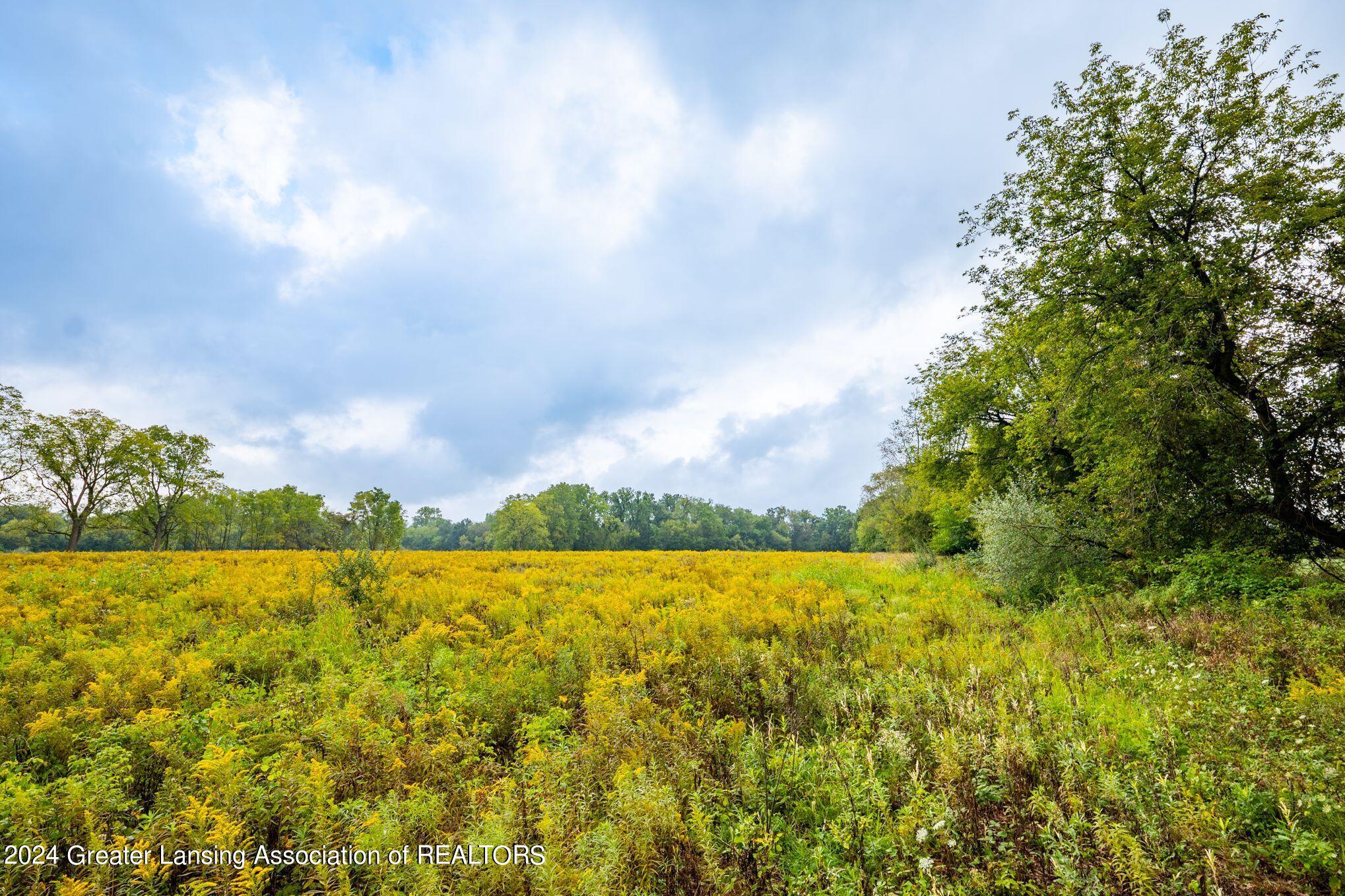 3630 Milner Road Stockbridge, MI 49285 - Photo 21 of 23 Land