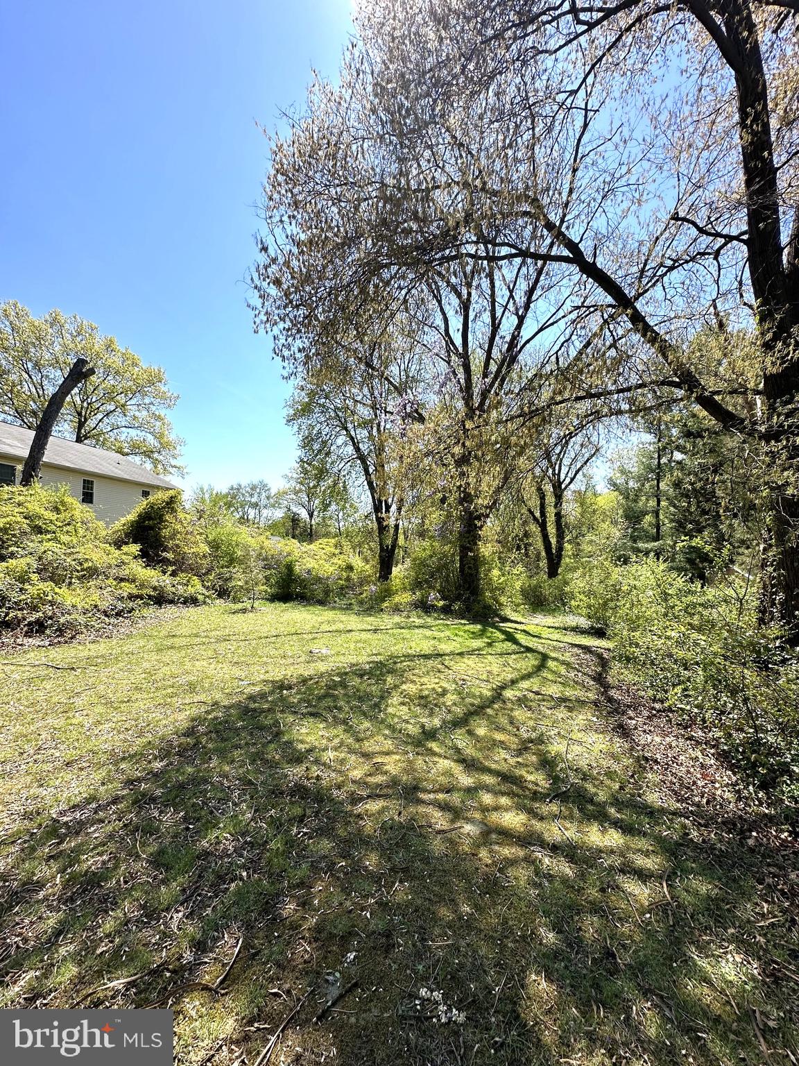 2419 Beacon Hill Road Alexandria, VA 22306 - Photo 2 of 8