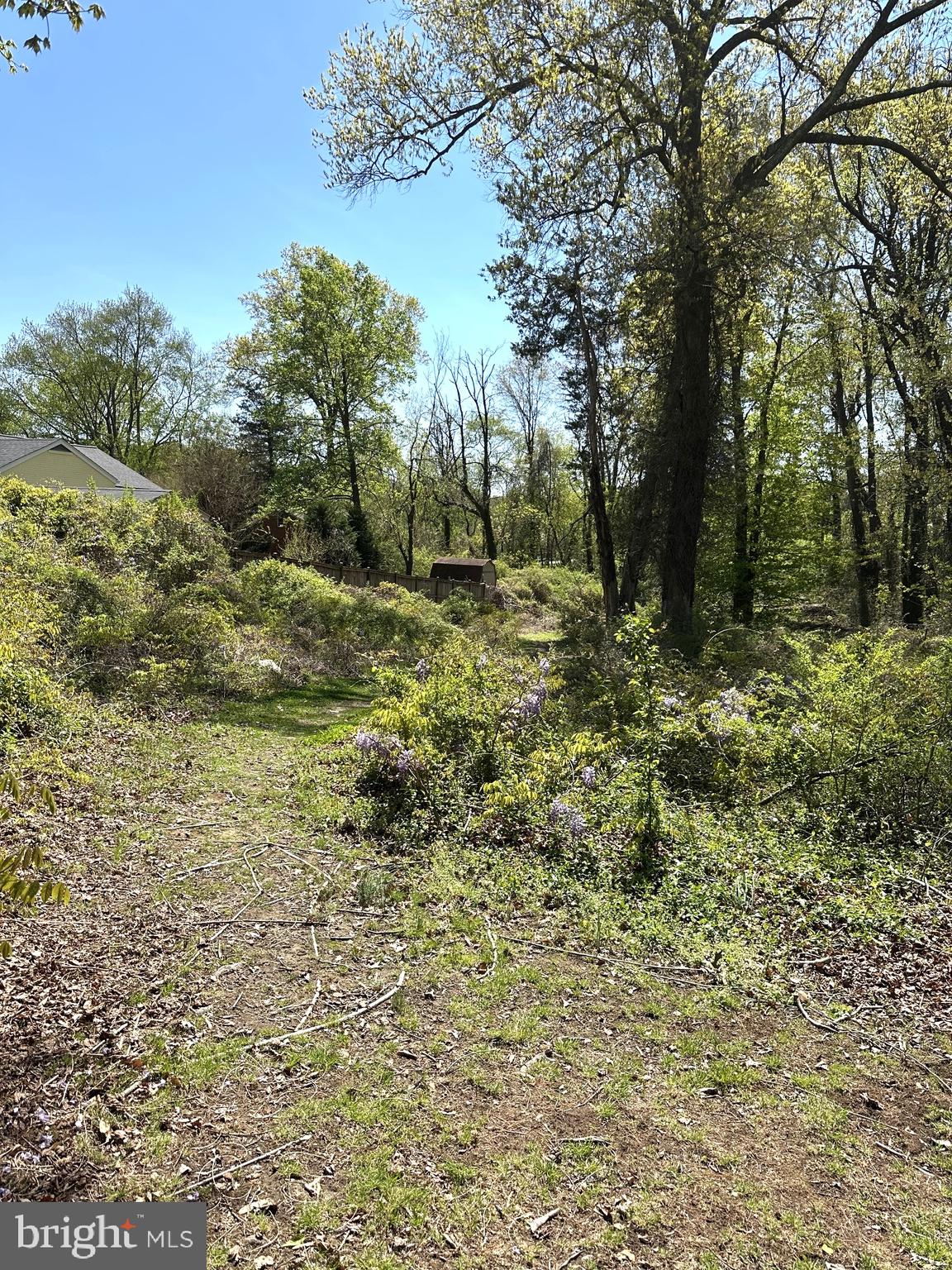 2419 Beacon Hill Road Alexandria, VA 22306 - Photo 3 of 8