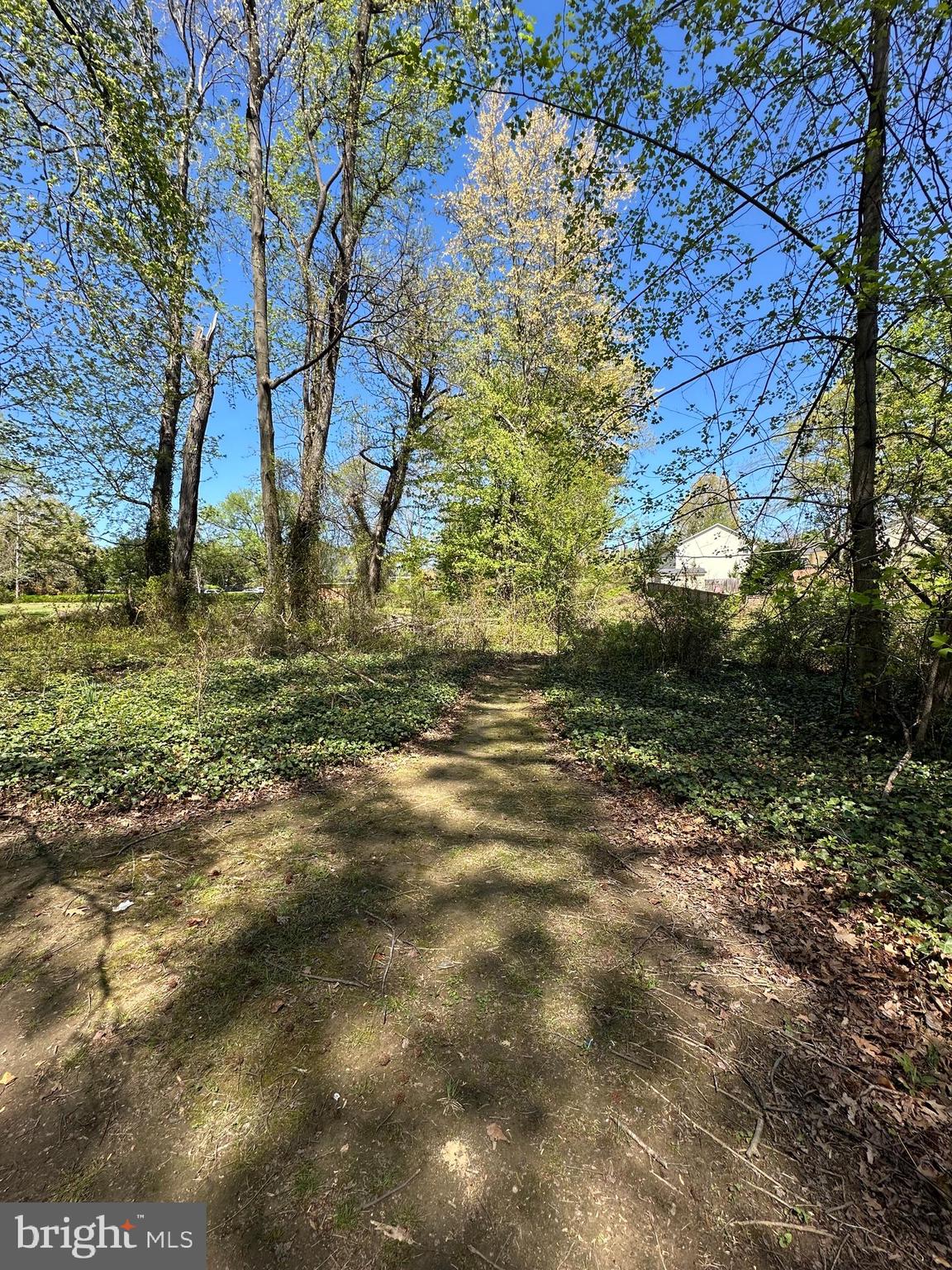 2419 Beacon Hill Road Alexandria, VA 22306 - Photo 5 of 8