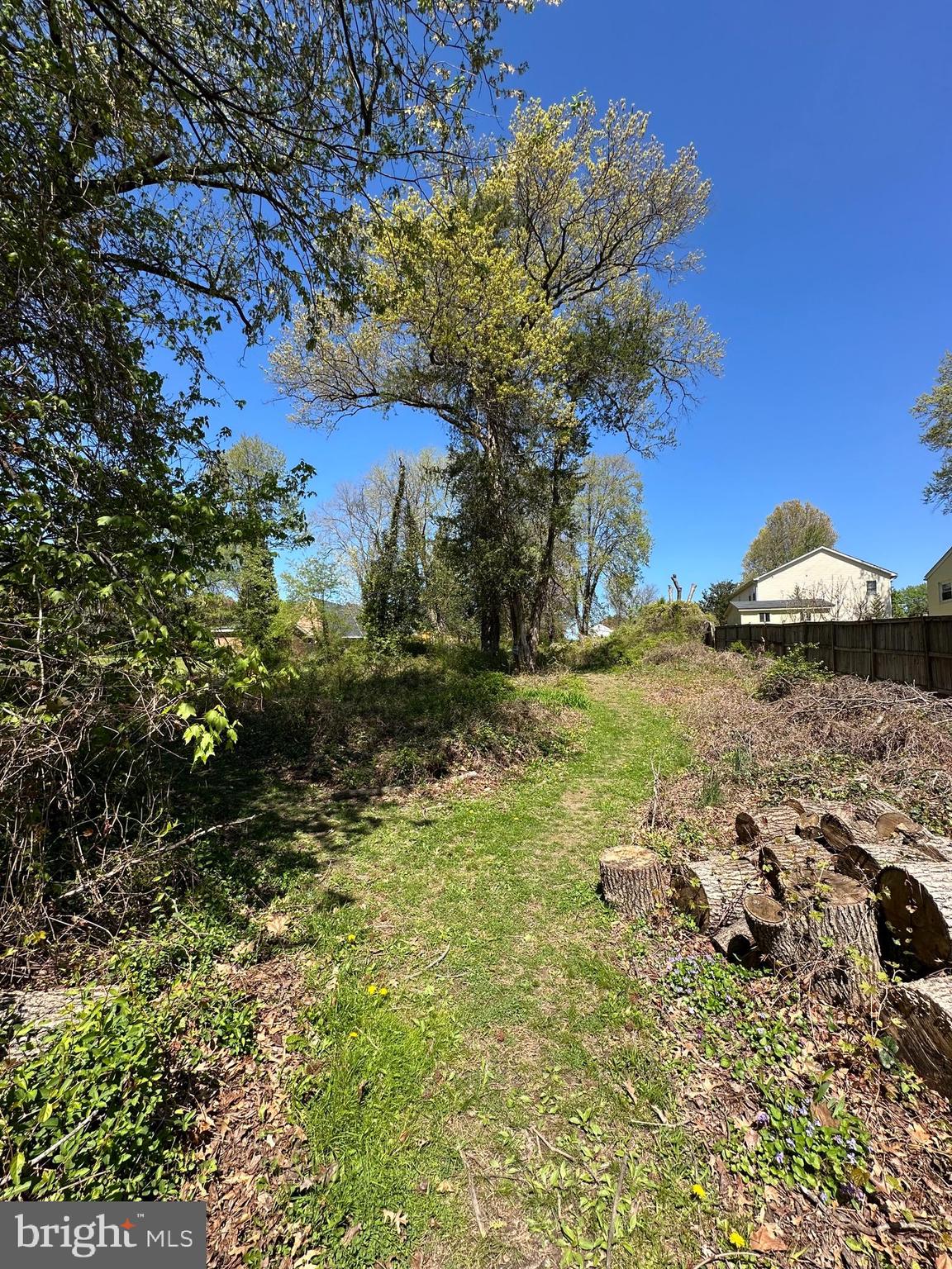 2419 Beacon Hill Road Alexandria, VA 22306 - Photo 6 of 8