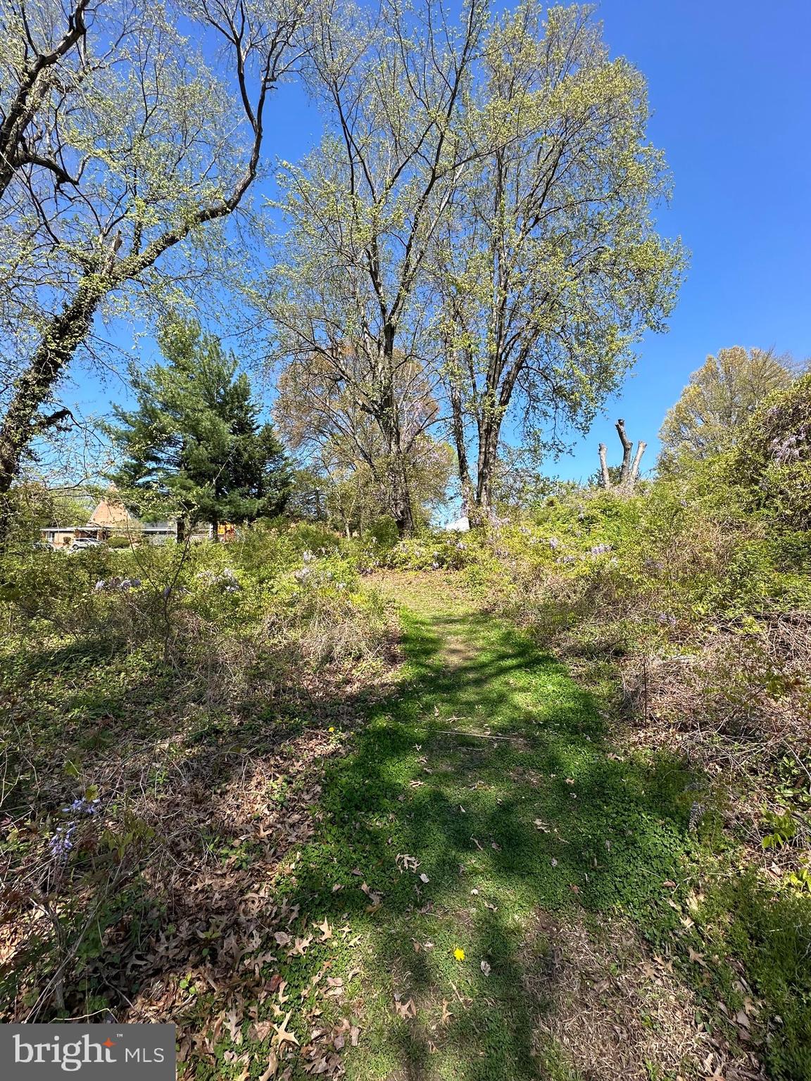 2419 Beacon Hill Road Alexandria, VA 22306 - Photo 7 of 8