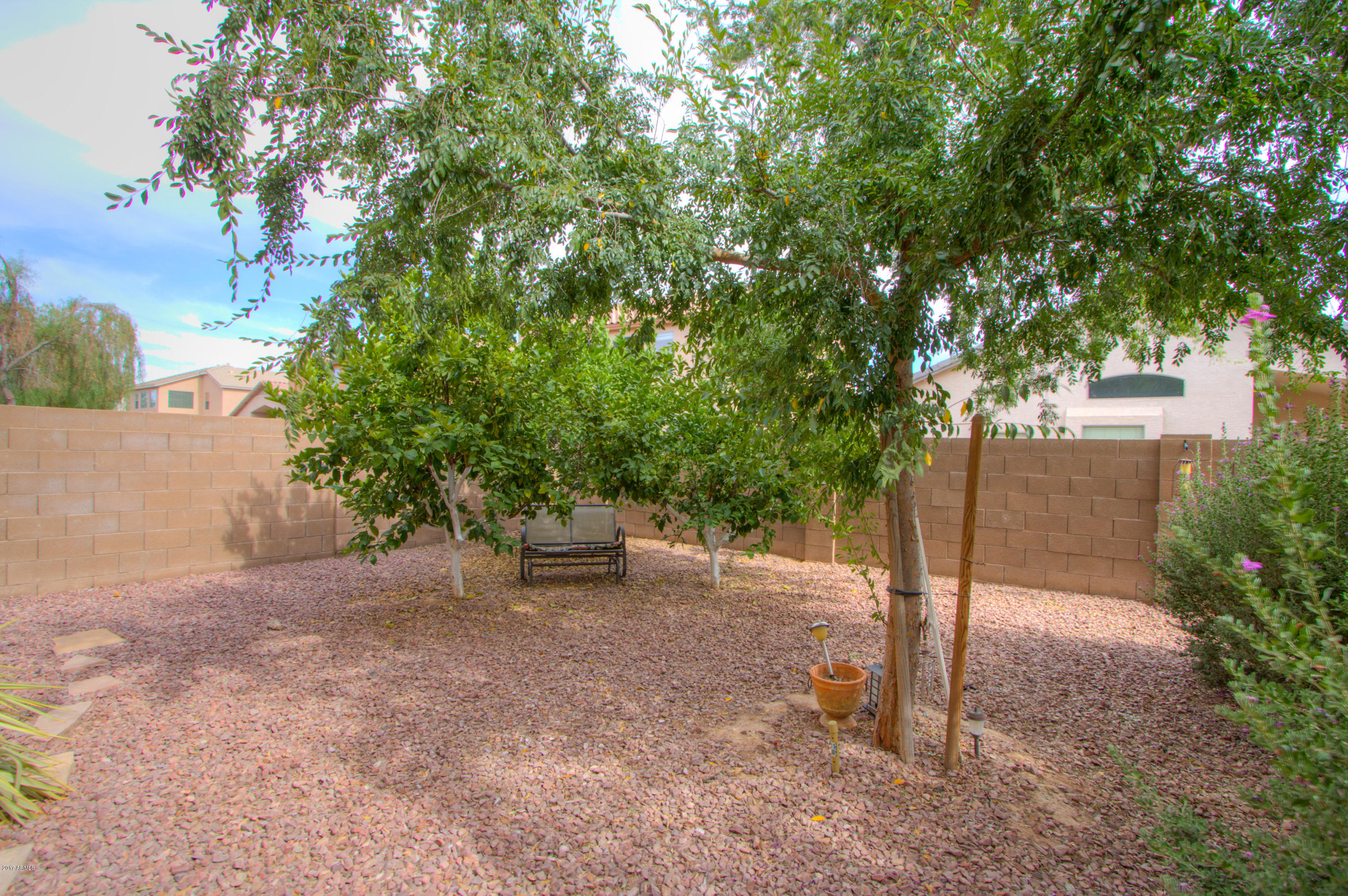 45095 West Jack Rabbit Trail Maricopa, AZ 85139 - Photo 46 of 47 2 Lemon Trees and Tangelo Tree