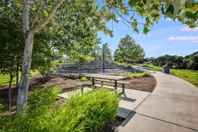 a view of a park with large trees