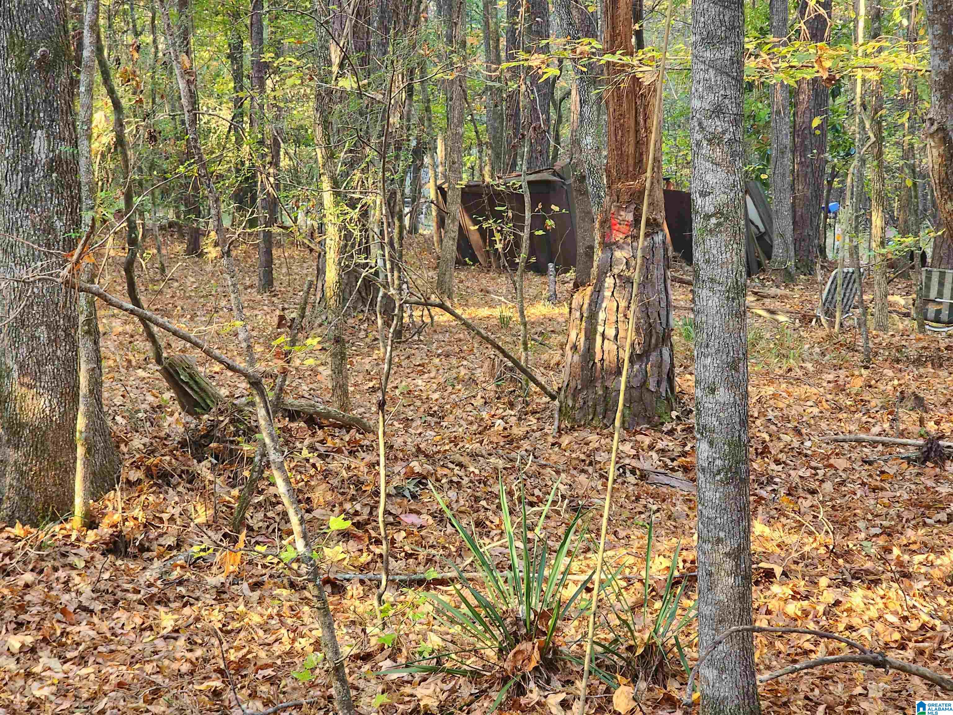 0 Beaver Cove Road, Unit 3 Equality, AL 36026 - Photo 1 of 10 Gallery Image 1
