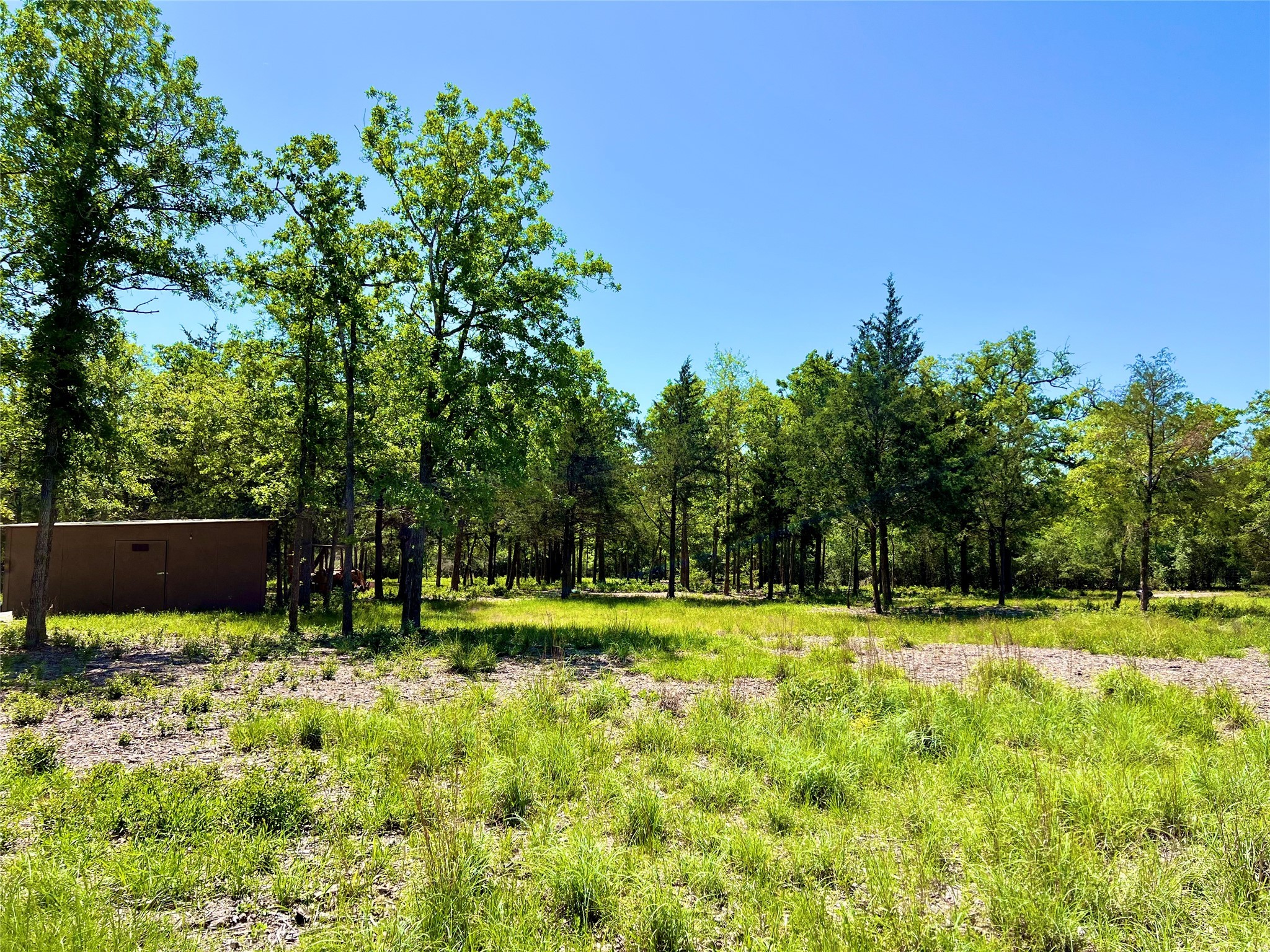 357 Oak Hollow Road Caldwell, TX 77836 - Photo 2 of 10 a view of a backyard