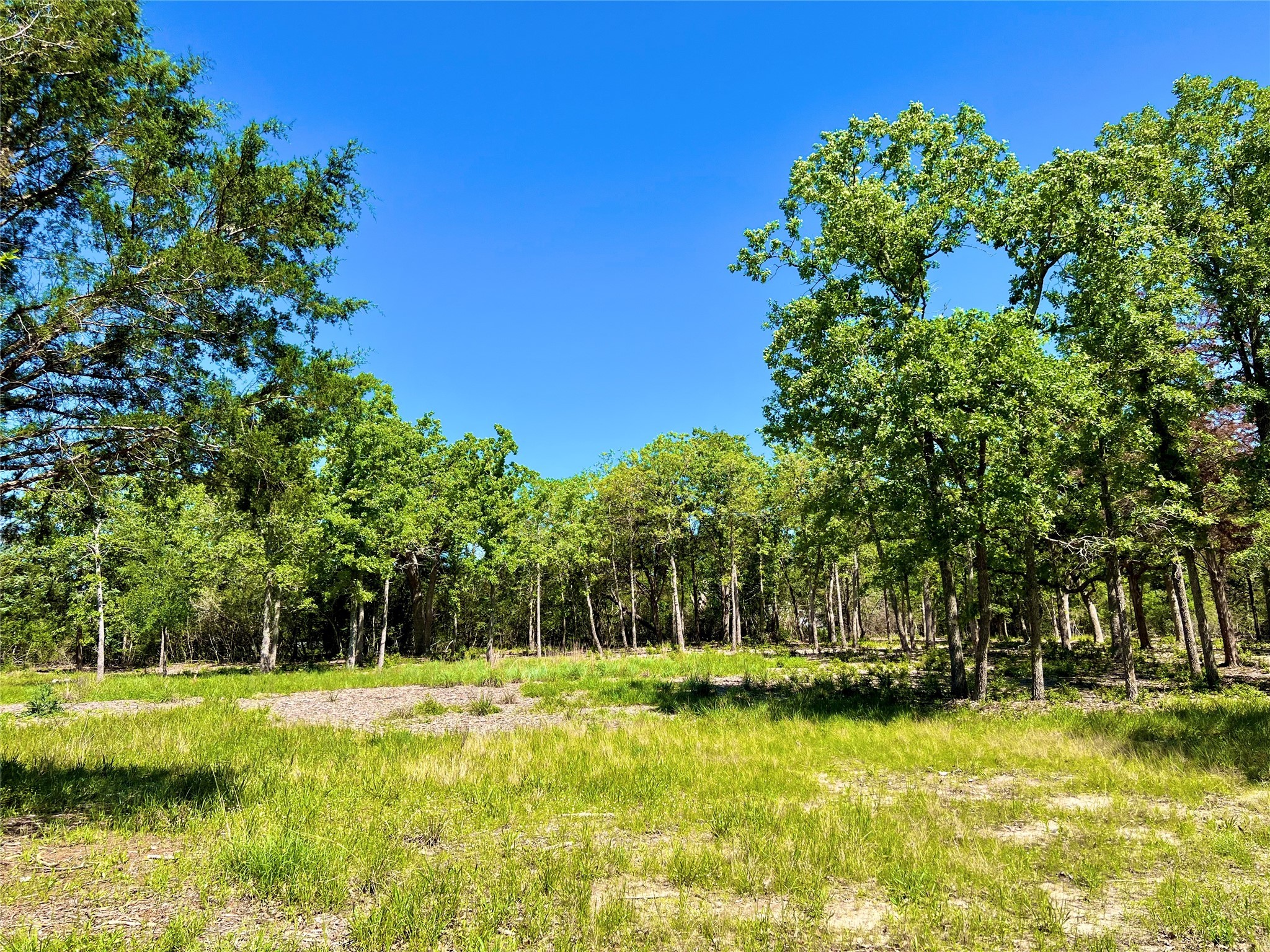 357 Oak Hollow Road Caldwell, TX 77836 - Photo 3 of 10 a view of swimming pool with a yard