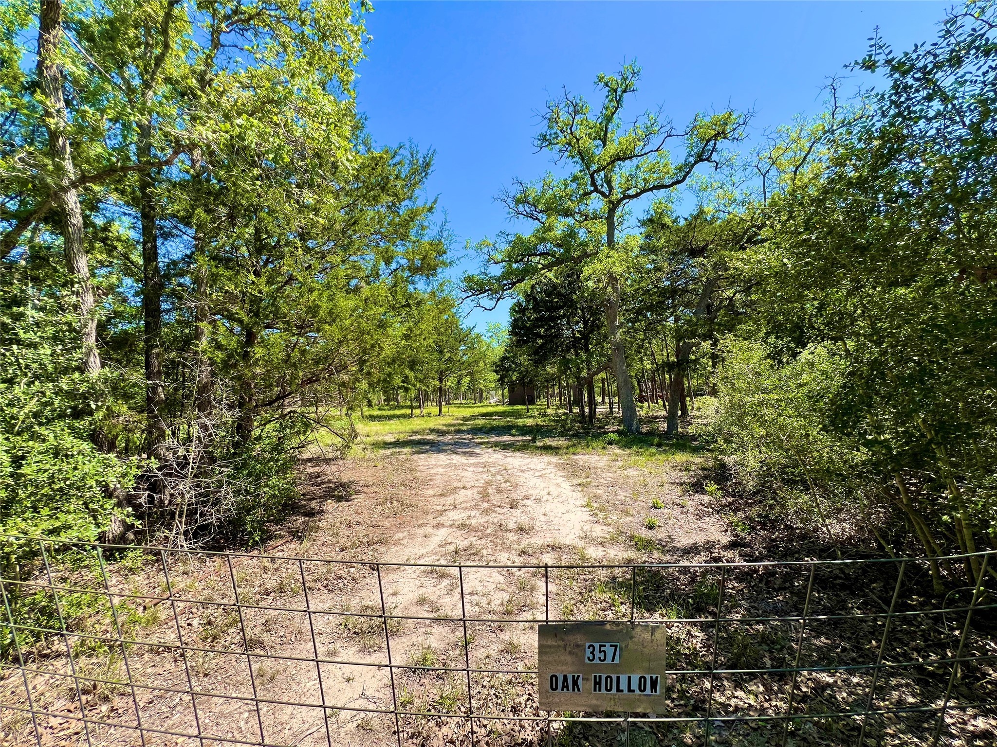 357 Oak Hollow Road Caldwell, TX 77836 - Photo 4 of 10 a view of a yard with plants and trees