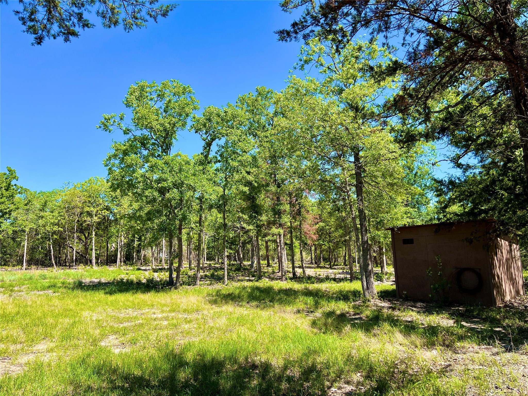 357 Oak Hollow Road Caldwell, TX 77836 - Photo 7 of 10 a view of backyard with swimming pool and outdoor seating