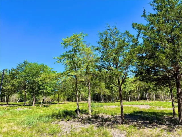 a view of a park with tree s