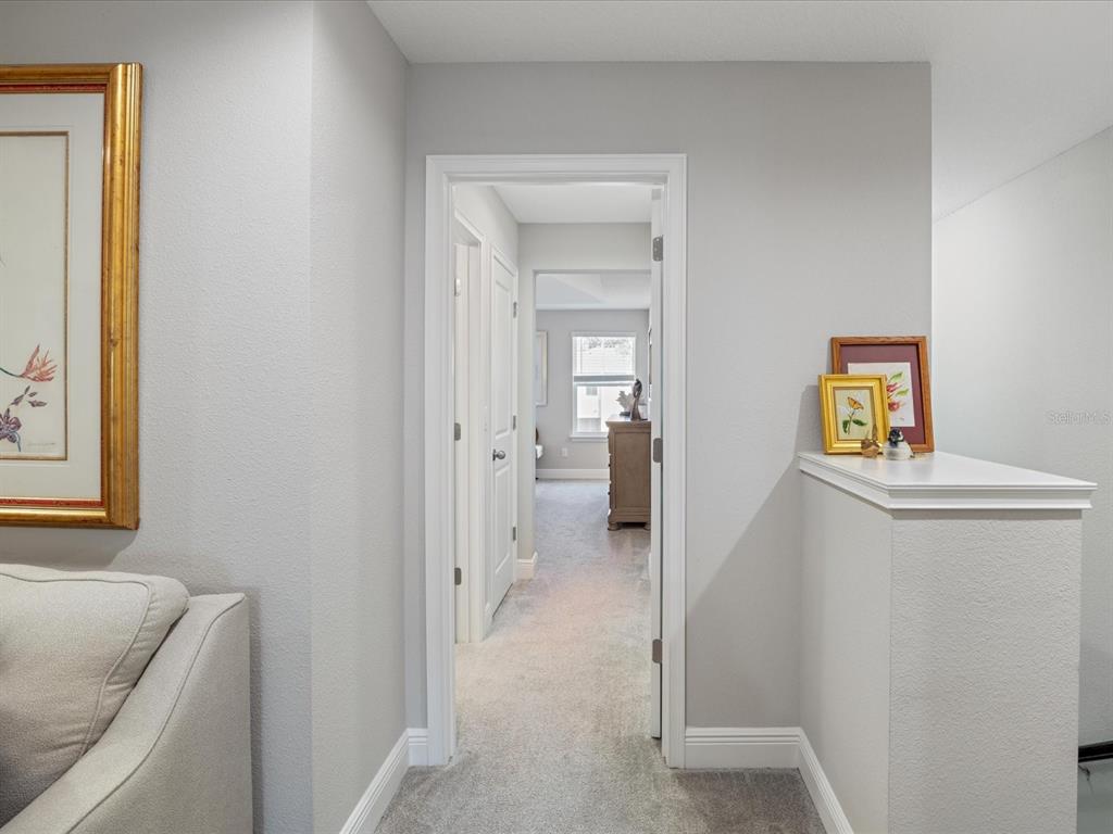 3010 Palm Key Avenue Oldsmar, FL 34677 - Photo 23 of 57 Gallery Image 23