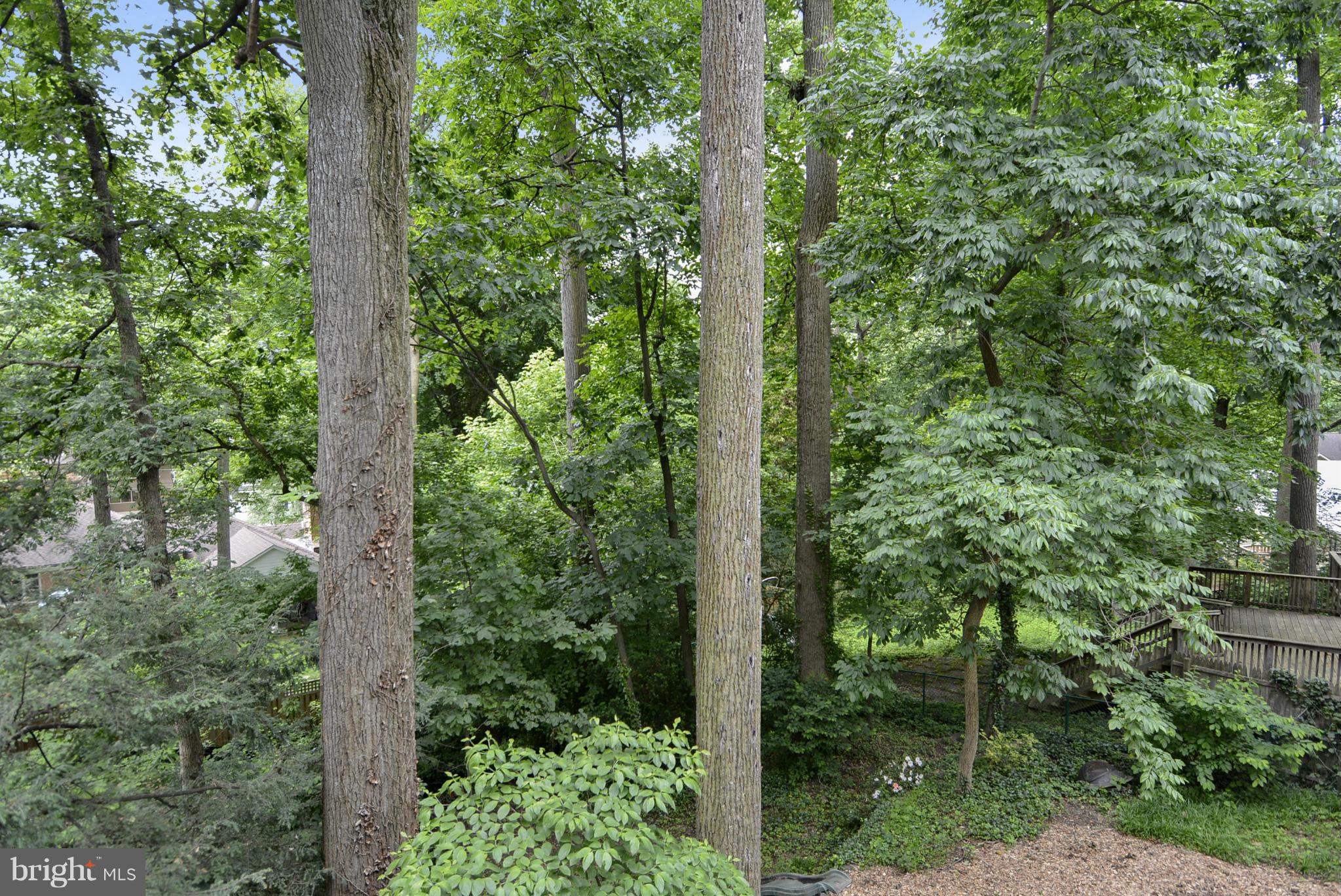 6102 Namakagan Road Bethesda, MD 20816 - Photo 29 of 30 Exterior (General)