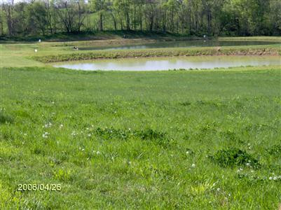 1380 Dutch Ridge Road Augusta, KY 41002 - Photo 6 of 8 Gallery Image 6