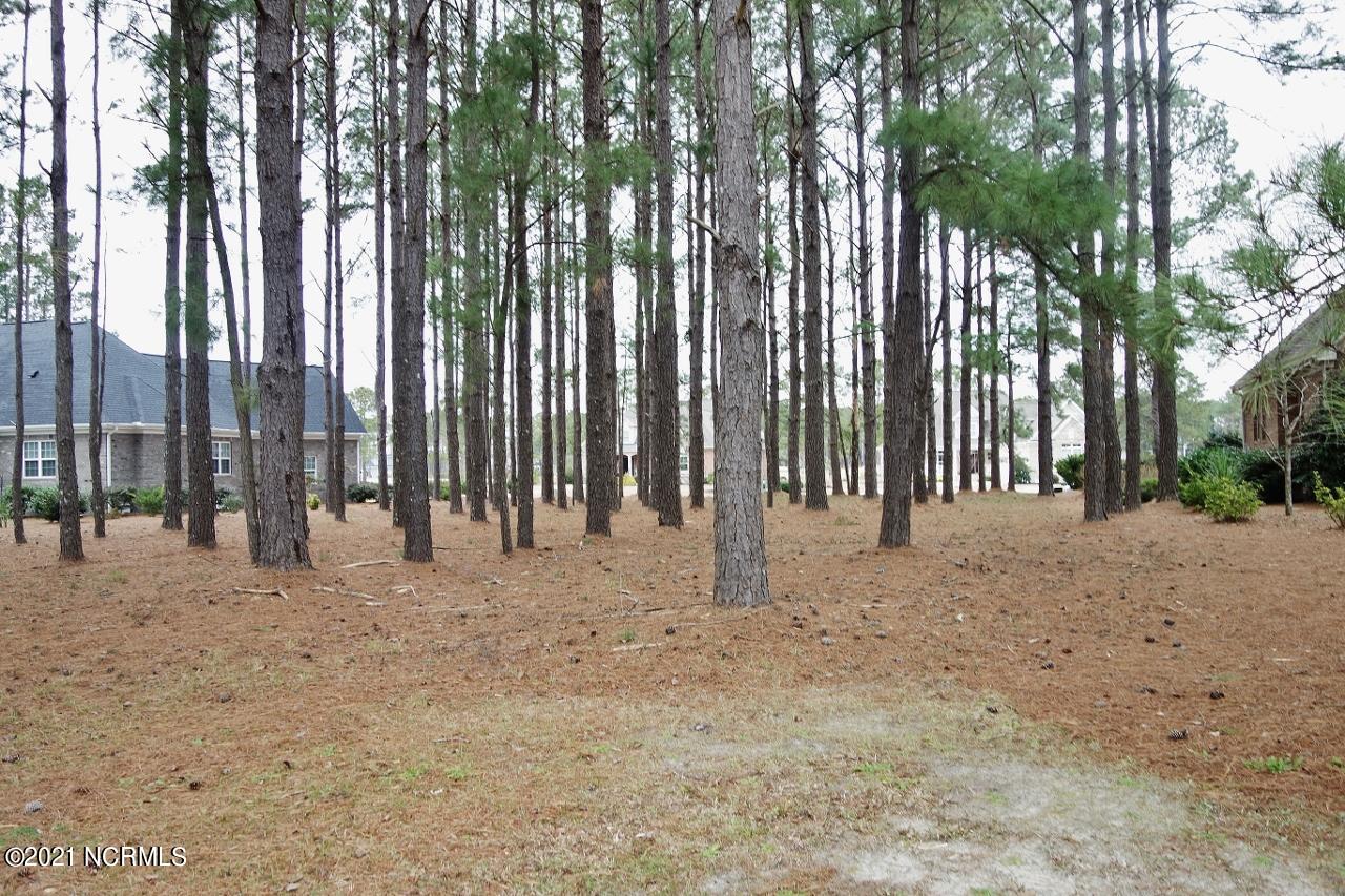 9259 Oldfield Road Calabash, NC 28467 - Photo 5 of 20 Rear View